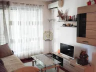 Izdavanje, jednosoban stan, 42m², Podgorica, Crna Gora - image 2