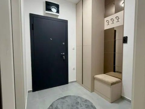 Izdavanje, jednosoban stan, 43m², Stari Aerodrom, Podgorica - image 11