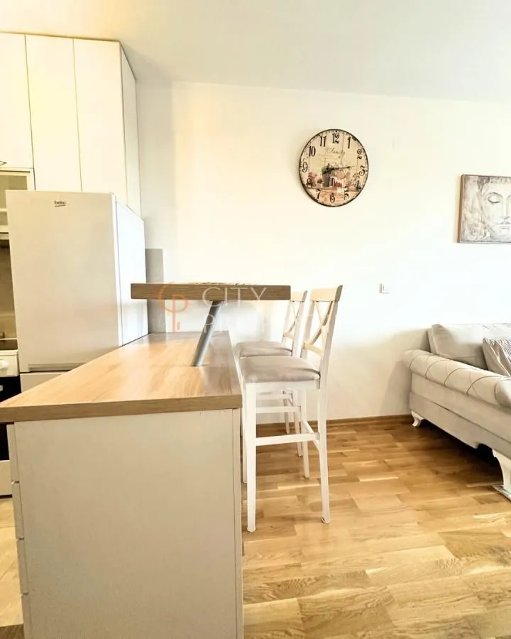 Rent, apartment, 40m², Tuški Put, Podgorica