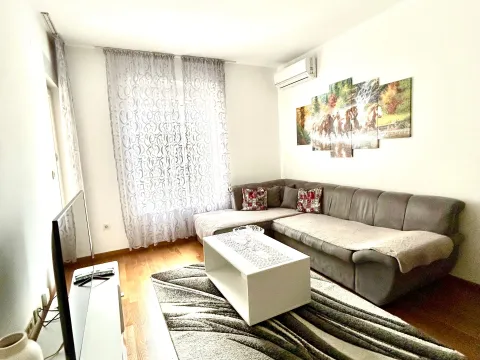 Rent, one bedroom apartment, 45m², Zabjelo, Podgorica - image 3