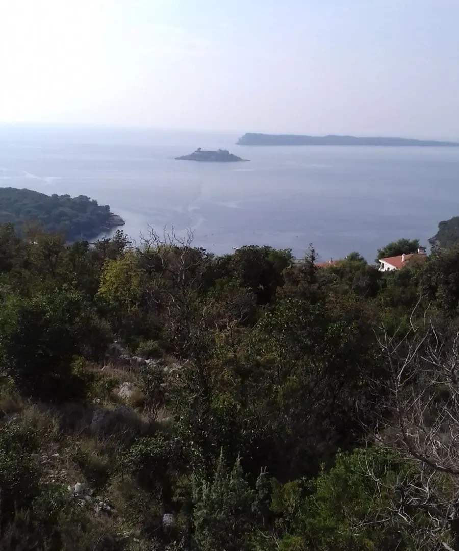 Prodaja, plac, 5218m², Luštica, Tivat
