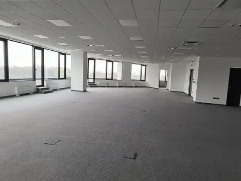 Izdavanje, poslovni prostor, 350m², Novi Beograd Sve Podlokacije, Beograd - image 6