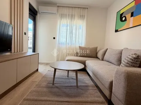Rent, one bedroom apartment, 47m², Zabjelo, Podgorica - image 1