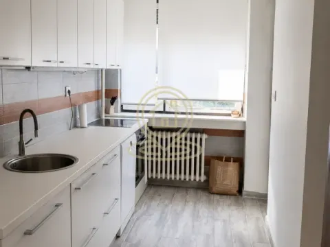 Izdavanje, četvorosoban stan, 104m², Vračar Hram, Vračar Sve Podlokacije - image 15