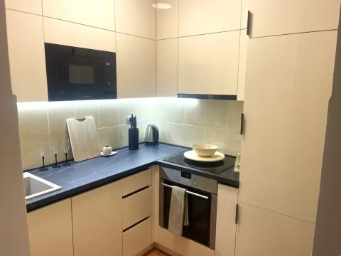 Rent, apartment, 47m², Vezirov Most, Podgorica - image 2