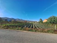 Prodaja, plac, 4000m², Podgorica, Crna Gora - image 1