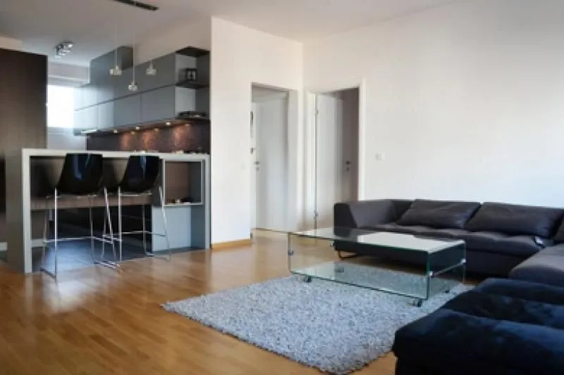 Rent, two bedroom apartment, 85m², Vračar Hram, Vračar Sve Podlokacije