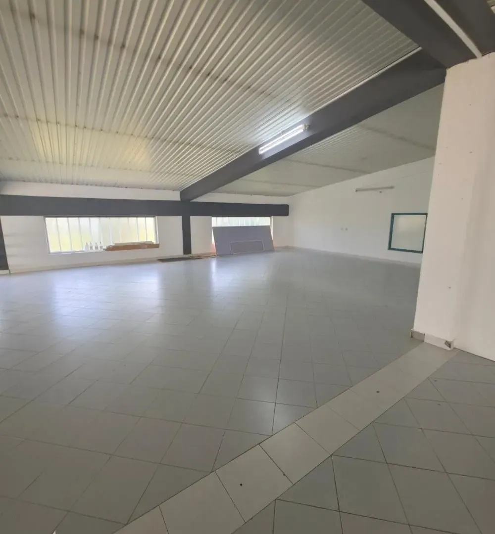 Rent, office space, 1000m², Zemun Nova Galenika, Zemun Sve Podlokacije