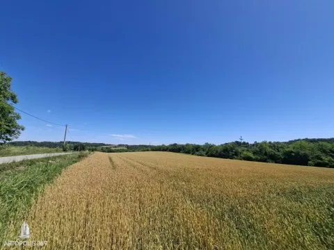 Prodaja, kuća, 70m², Centar, Leskovac - image 18