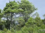 Prodaja, plac, 1219m², Tivat, Crna Gora - image 3