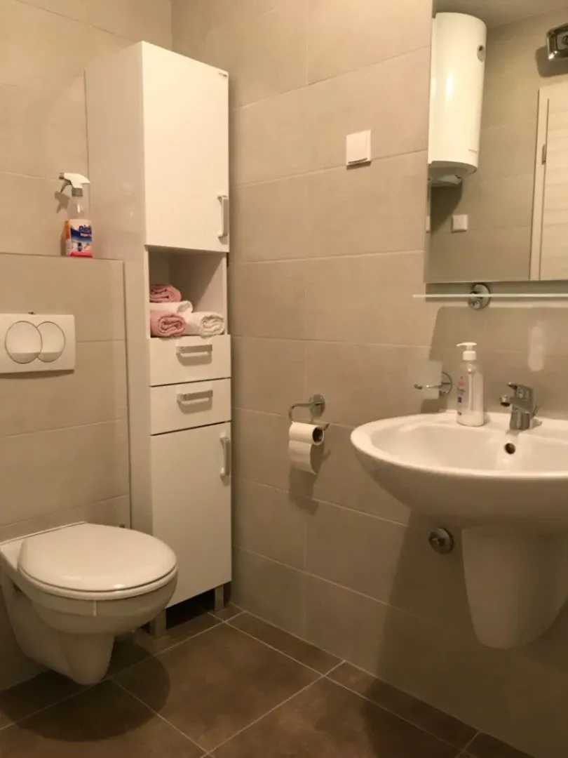 Rent, two bedroom apartment, 75m², Ljubović, Podgorica