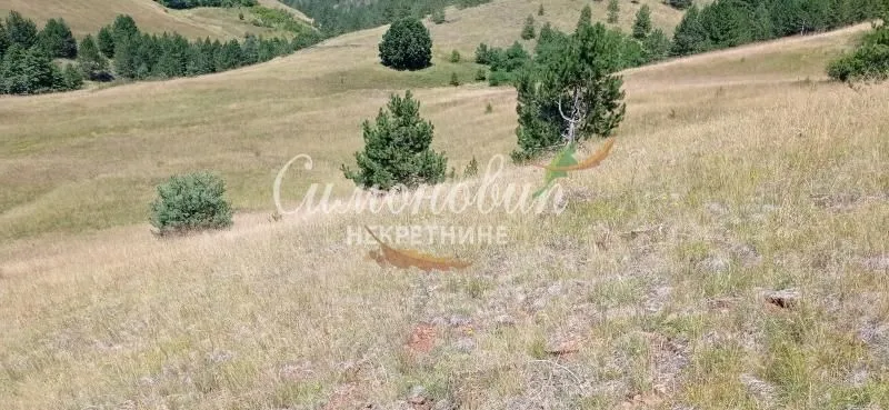 Prodaja, plac, 212100m², Divčibare, Valjevo
