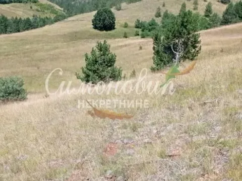 Sale, land lot, 212100m², Divčibare, Valjevo - image 12