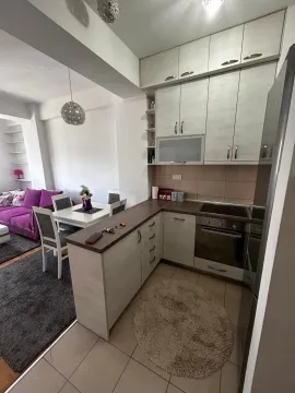 Rent, one bedroom apartment, 59m², Central Point, Podgorica - image 703