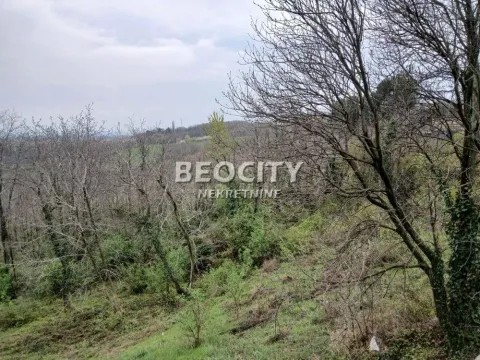 Prodaja, plac, 155m², Sremski Karlovci, Novi Sad - image 12