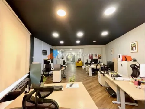 Izdavanje, poslovni prostor, 185m², Neimar, Vračar Sve Podlokacije - image 16