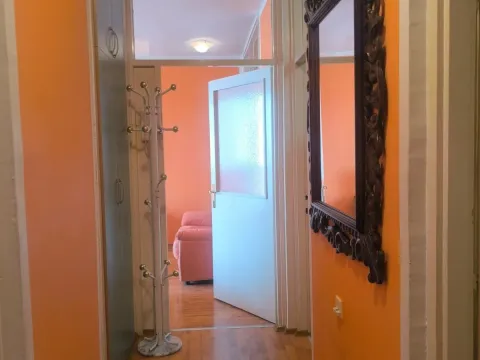 Prodaja, jednosoban stan, 50m², Gintaš, Podgorica - image 4