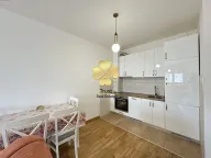 Izdavanje, jednosoban stan, 50m², Stari Aerodrom, Podgorica - image 9