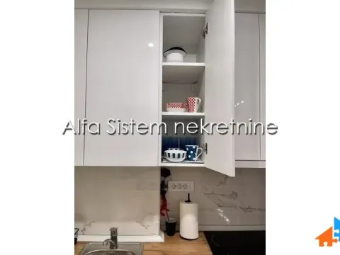 Izdavanje, dvosoban stan, 47m², Vračar Sve Podlokacije, Beograd - image 10