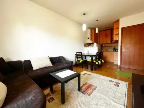 Izdavanje, jednosoban stan, 47m², Zagorič, Podgorica - image 9