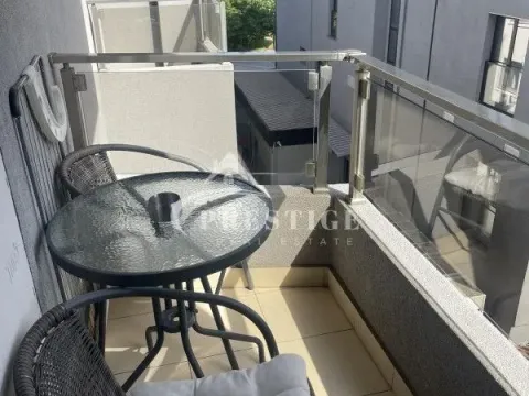 Izdavanje, garsonjera, 25m², Ljubović, Podgorica - image 10