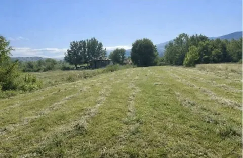 Prodaja, plac, 5554m², Jastreb, Danilovgrad - image 3
