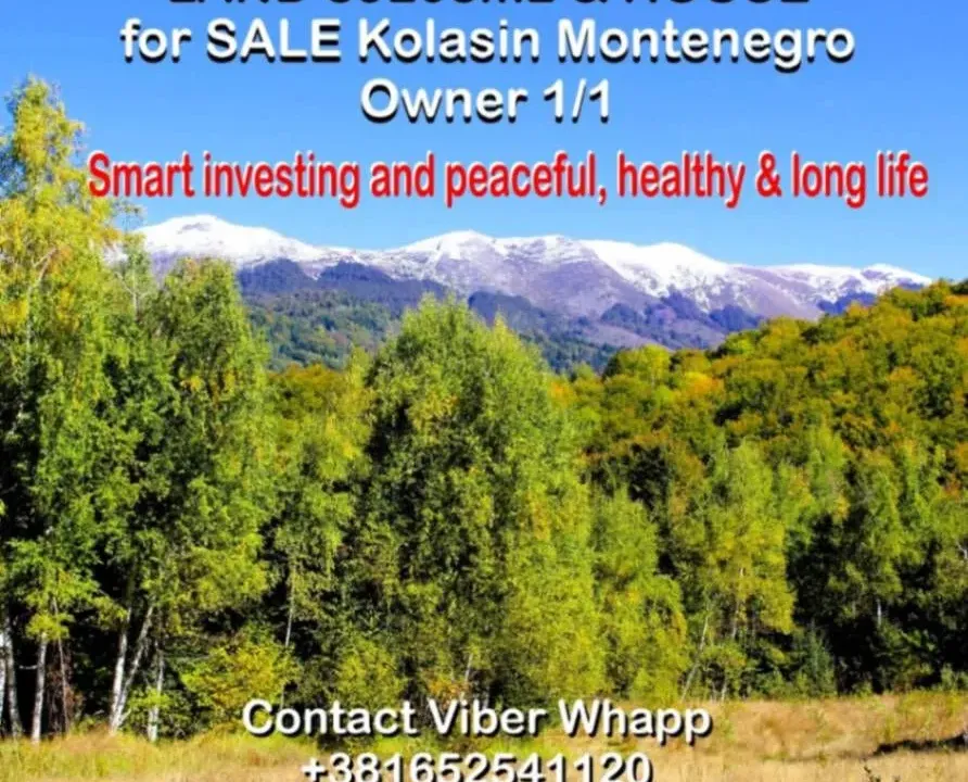 Prodaja, plac, 89208m², Padež, Kolašin