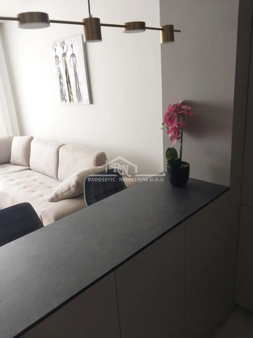 Rent, one bedroom apartment, 33m², Novi Beograd Blok 65, Novi Beograd Sve Podlokacije