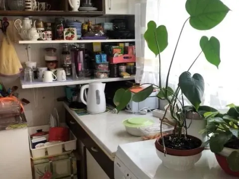 Sale, two bedroom apartment, 50m², Uciteljsko Naselje, Zvezdara Sve Podlokacije - image 4