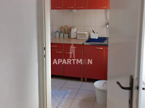 Sale, one bedroom apartment, 29m², Vračar Hram, Vračar Sve Podlokacije - image 7