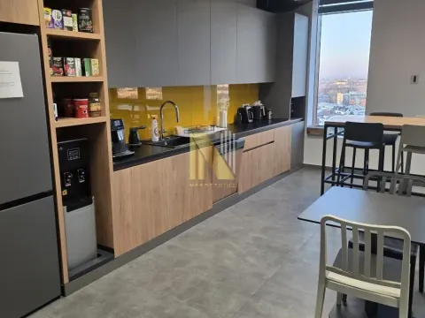 Rent, office space, 987m², Sajmište, Novi Sad - image 3