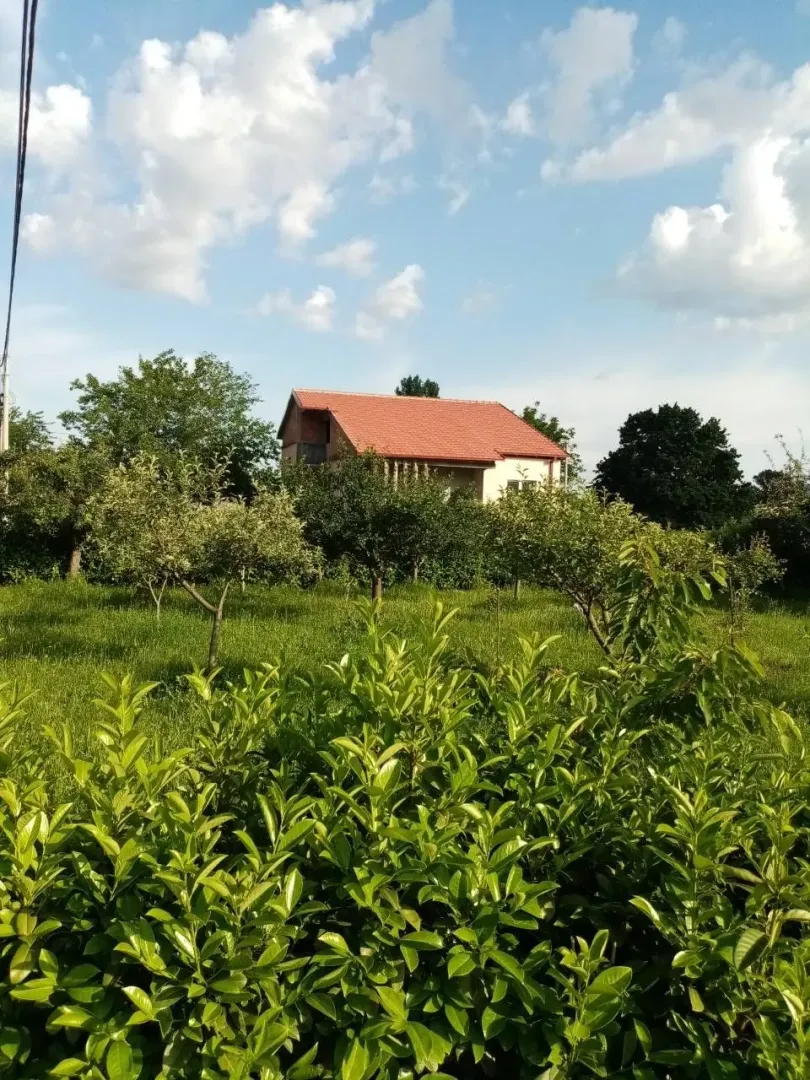 View of a house with a red roof through a spacious green yard.