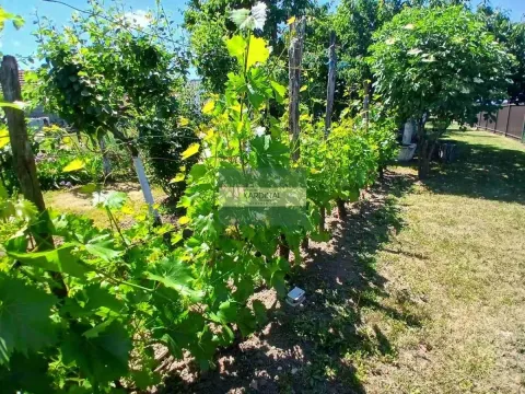 Prodaja, kuća, 65m², Kovačevac, Jagodina - image 20