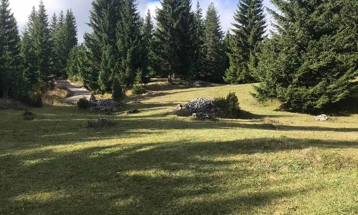Prodaja, plac, 4779m², Žabljak, Crna Gora