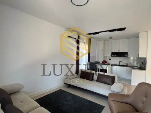 Rent, one bedroom apartment, 53m², Kod Capital Plaze, Podgorica - image 12