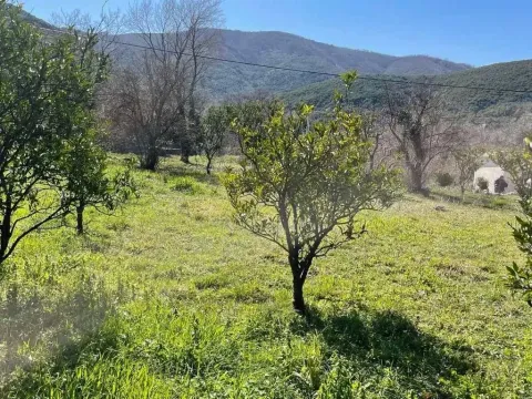 Prodaja, plac, 530m², Centar, Budva - image 3