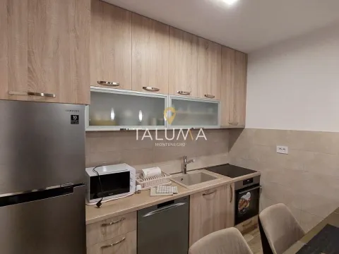 Izdavanje, jednosoban stan, 50m², Zabjelo, Podgorica - image 5