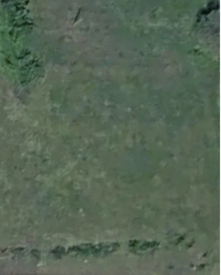 Izdavanje, plac, 2500m², Zelenika, Podgorica