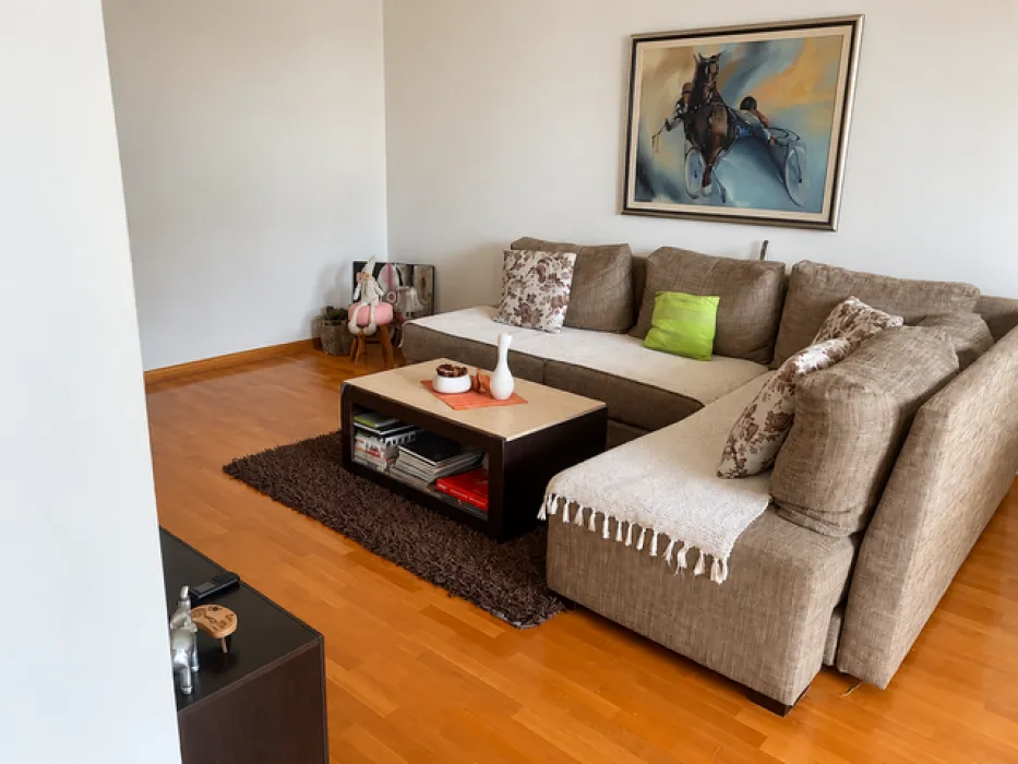 Living room with a corner sofa, coffee table, and a painting on the wall.