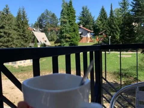 Prodaja, jednosoban stan, 30m², Zlatibor, Srbija - image 7