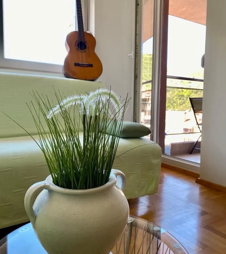 Rent, one bedroom apartment, 40m², Rozino, Budva