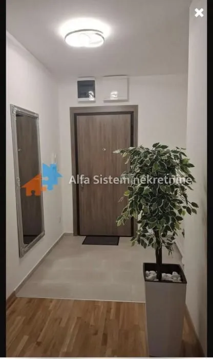 Rent, two bedroom apartment, 59m², Hala Pionir, Palilula Sve Podlokacije