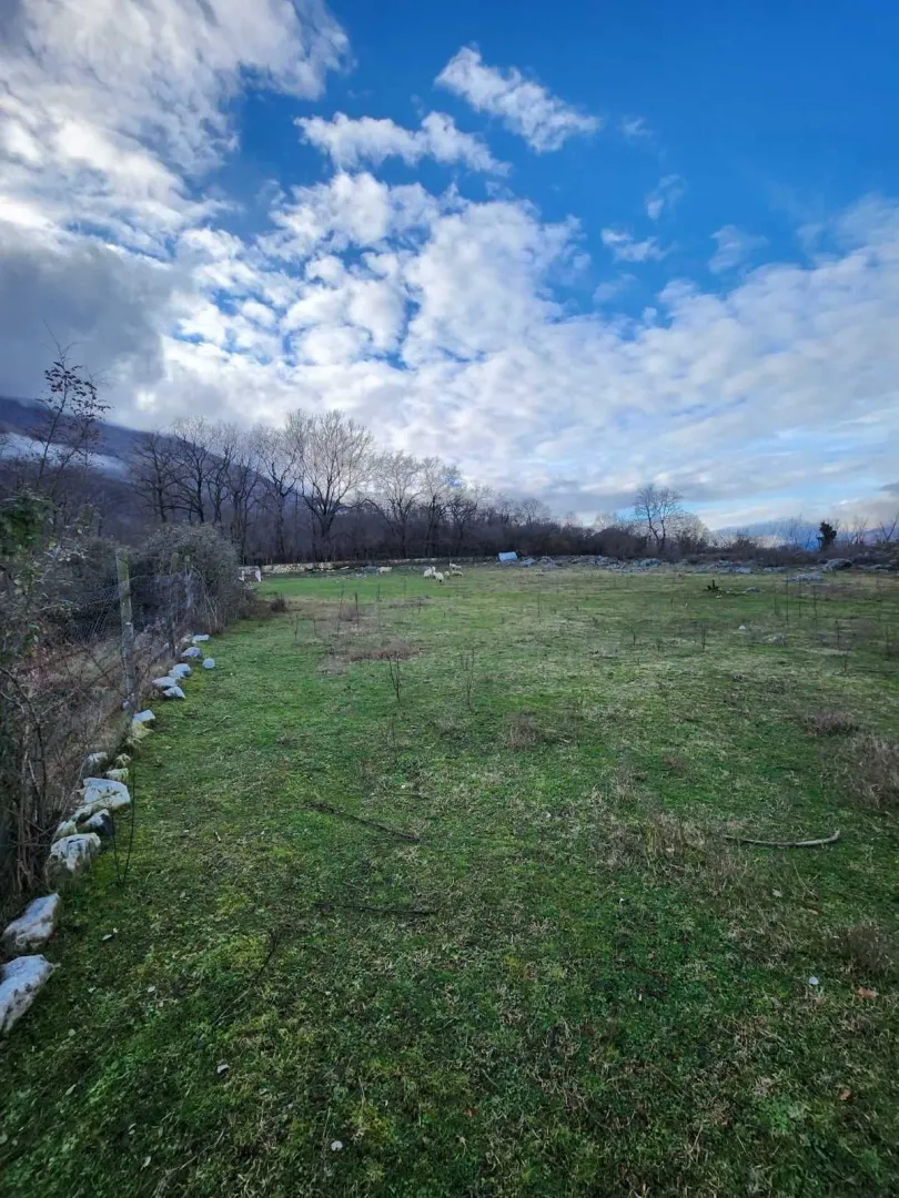 Prostran travnati plac okružen drvećem pod djelimično oblačnim nebom.