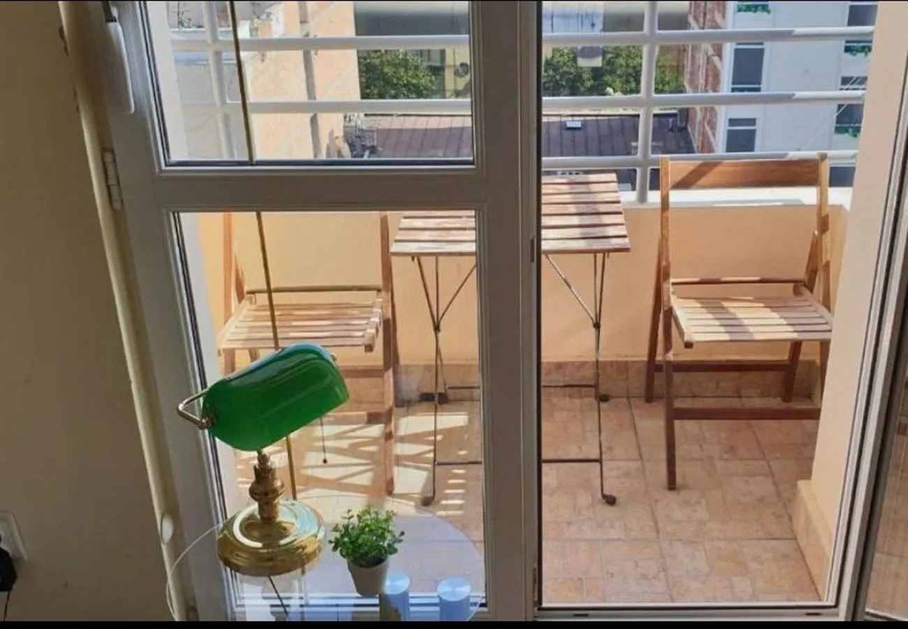 Rent, one bedroom apartment, 15m², Dorćol Sve Podlokacije, Beograd