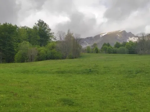 Sale, land lot, 7000m², Žabljak II, Žabljak - image 2