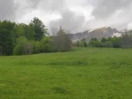 Sale, land lot, 7000m², Žabljak II, Žabljak - image 2