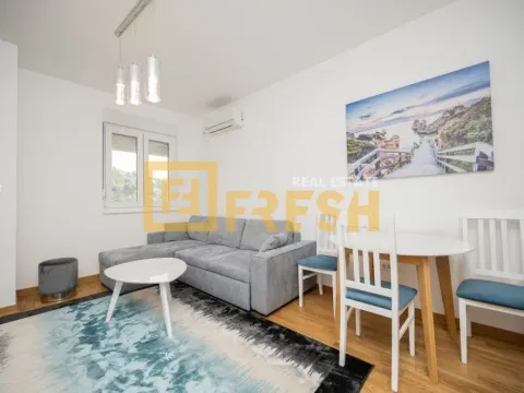 Izdavanje, jednosoban stan, 42m², Zagorič, Podgorica - image 3