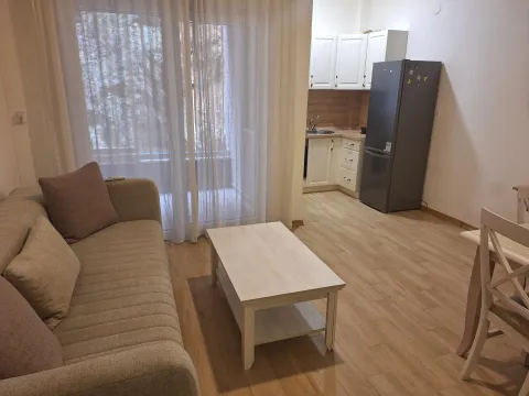 Prodaja, garsonjera, 31m², Golubovina, Budva - image 3