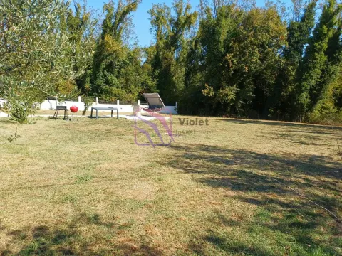 Spacious grassy yard with trees and outdoor seating. - image 6