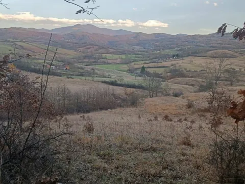 Prodaja, kuća, 360m², Ugrinovci, Gornji Milanovac - image 12